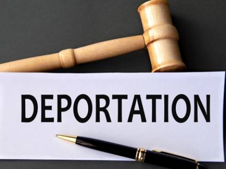 IL immigration lawyer